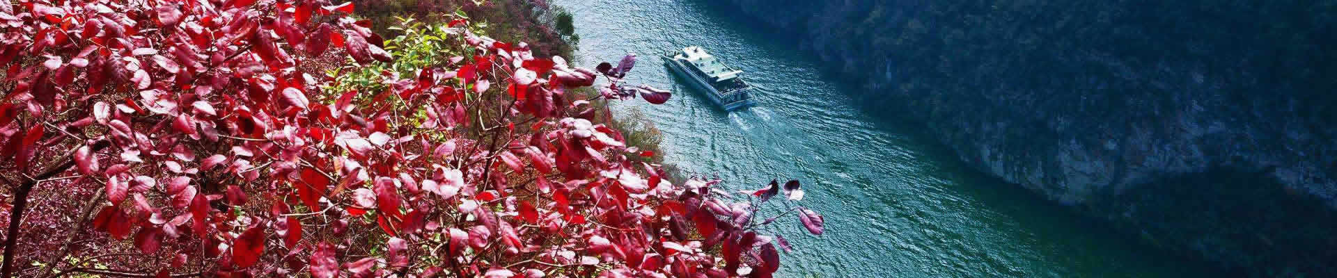 A leisurely Yangtze River Cruise is the thrill of a lifetime. Book 11 Days China tour with Yangtze River Cruise with us to enhance you travel experience.