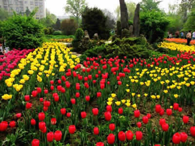 Xian Botanical Garden