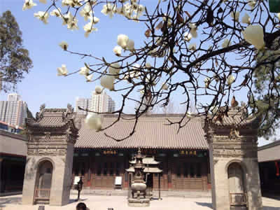 Temple of Eight Immortals