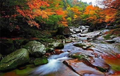 Niubeiliang National Forest Park