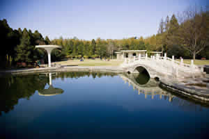 Half Day Xian Tour: Modern Xian City Walking Tour