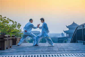 2 Hours Taiji Boxing Experience on Xi'an Ancient City Wall or Big Wild Goose Pagoda
