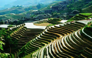15 Days Scenic China Tour with Guilin Longjing Rice Terrace