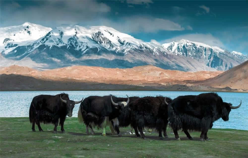 3-Day Urumqi Kashgar Karakuri Lake