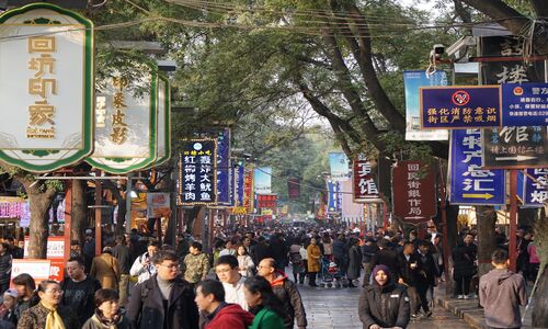 Xi'an Layover Tour: Timely Exploration of the Terracotta Warriors – A Must-See Highlight with a Local Guide