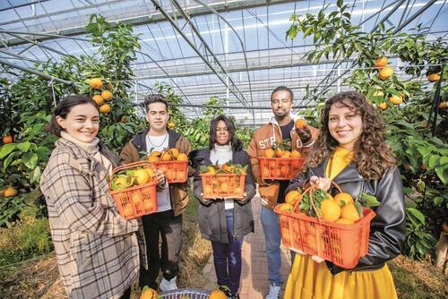 Xi'an Countryside Escape: Discover Authentic Farms and Traditional Shaanxi Dwellings on a Day Tour