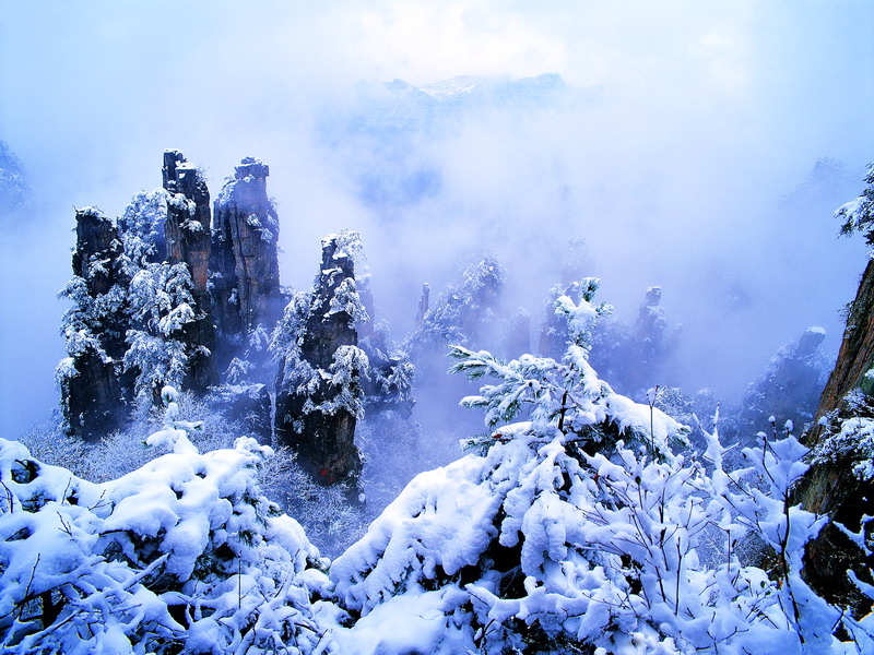 Tianzi_Mountain_Nature_Reserve_02.jpg