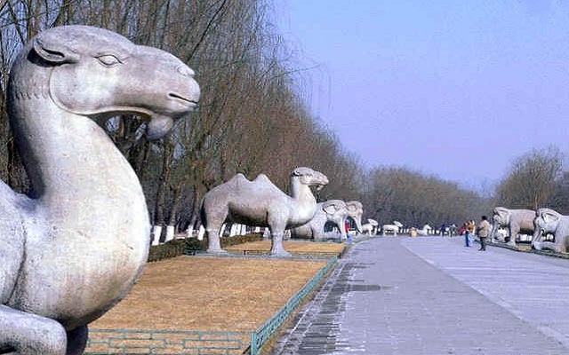 Xian China Tour Xian private tour package China silk road tour with xian