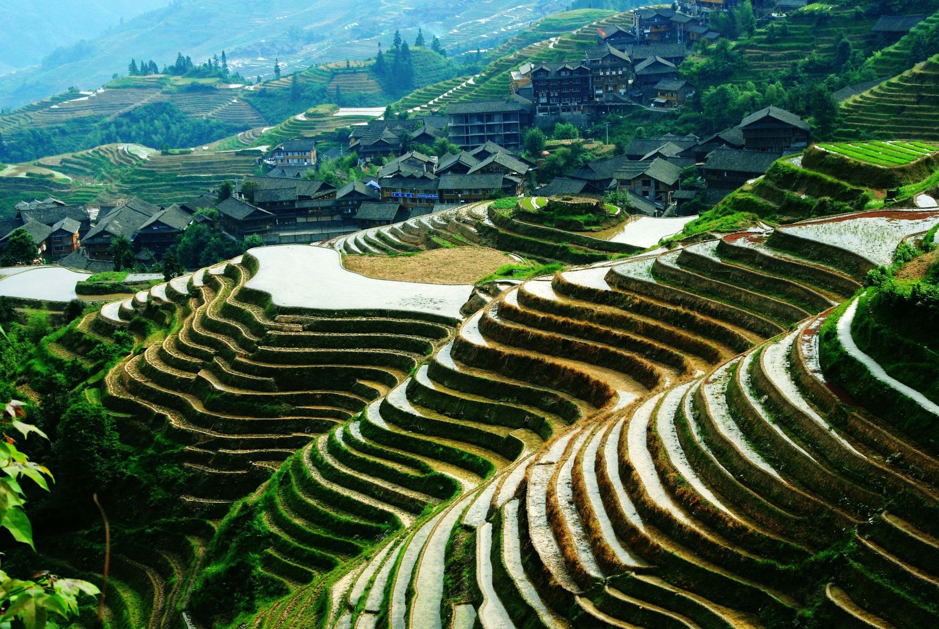 Longsheng_Longji_Terrace.jpg