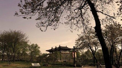 Daming Palace Site of Chang'an City of Tang Dynasty1.jpg