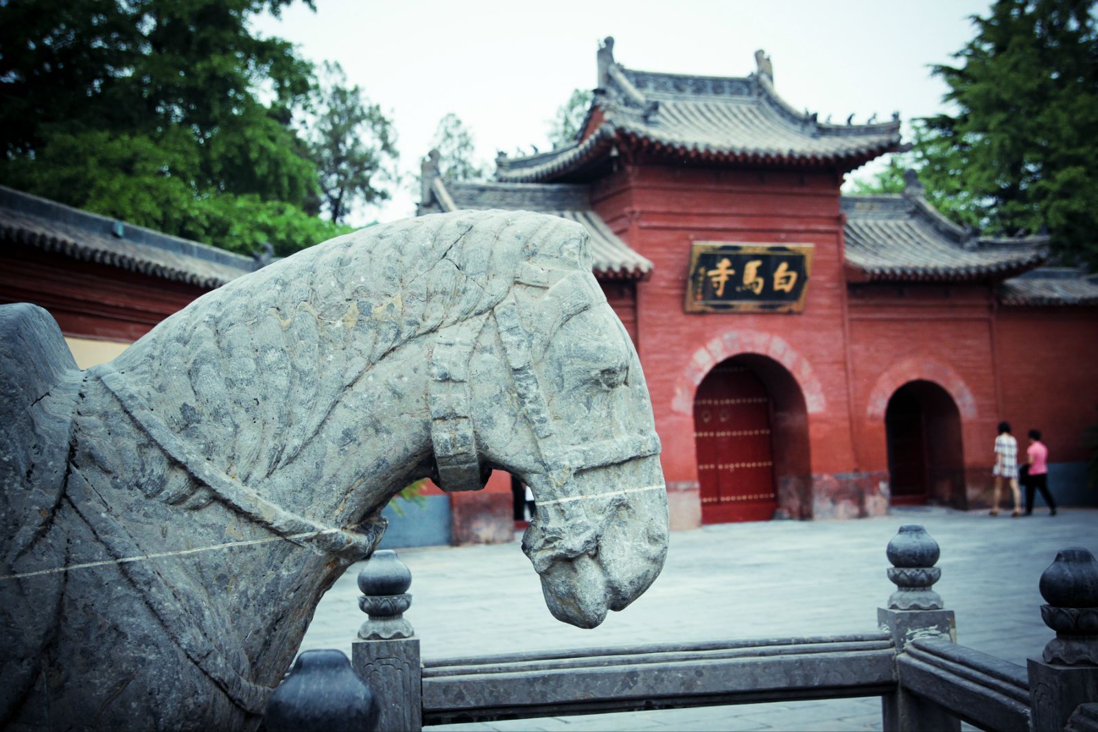 xian_beijing_luoyang_tour_with_white_horse