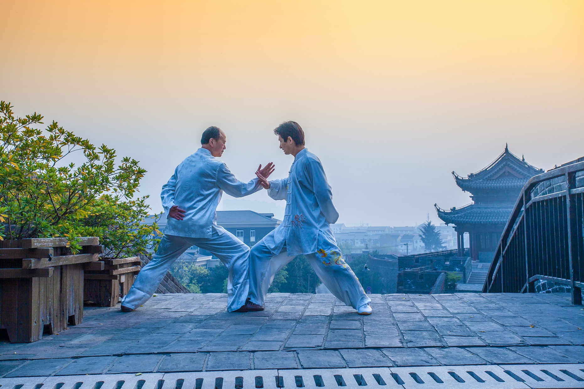 tai_chi1.jpg