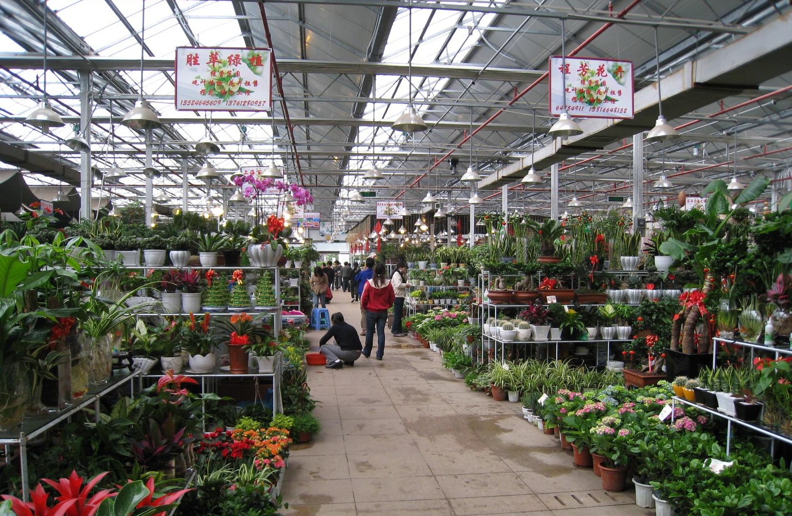 flower_and_bird_market.jpg