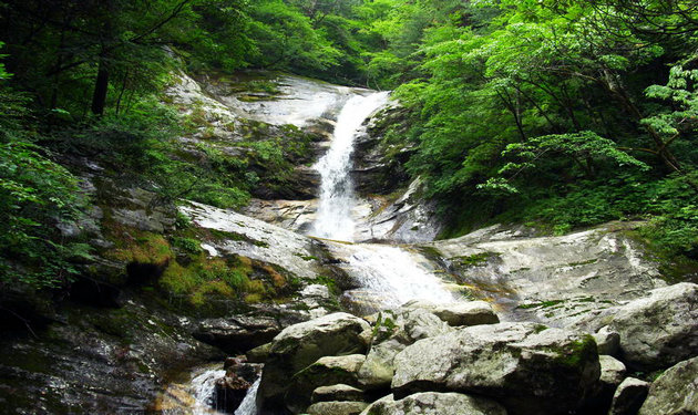 heihe_national_forest_park2.jpg