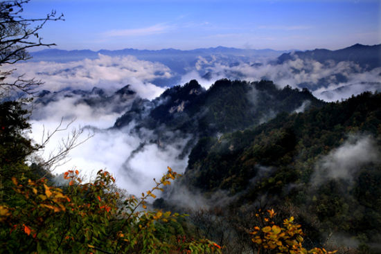 Niubeiliang_national_forest_park.jpg