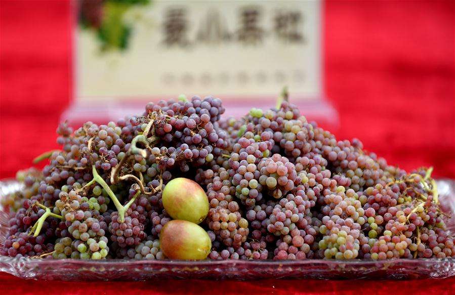 Turpan Grape Festival.jpg