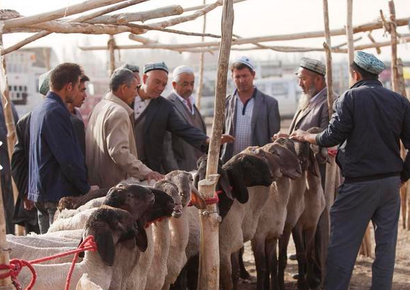 Kashgar Livestock Market_02.png