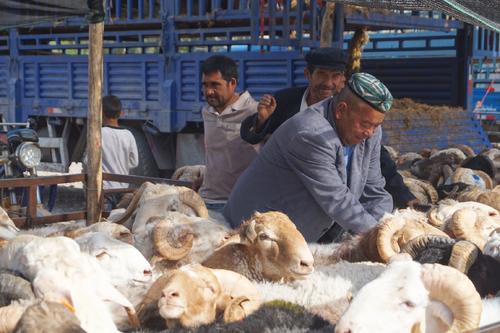 kashgar_Kashgar_Livestock_Market.jpg