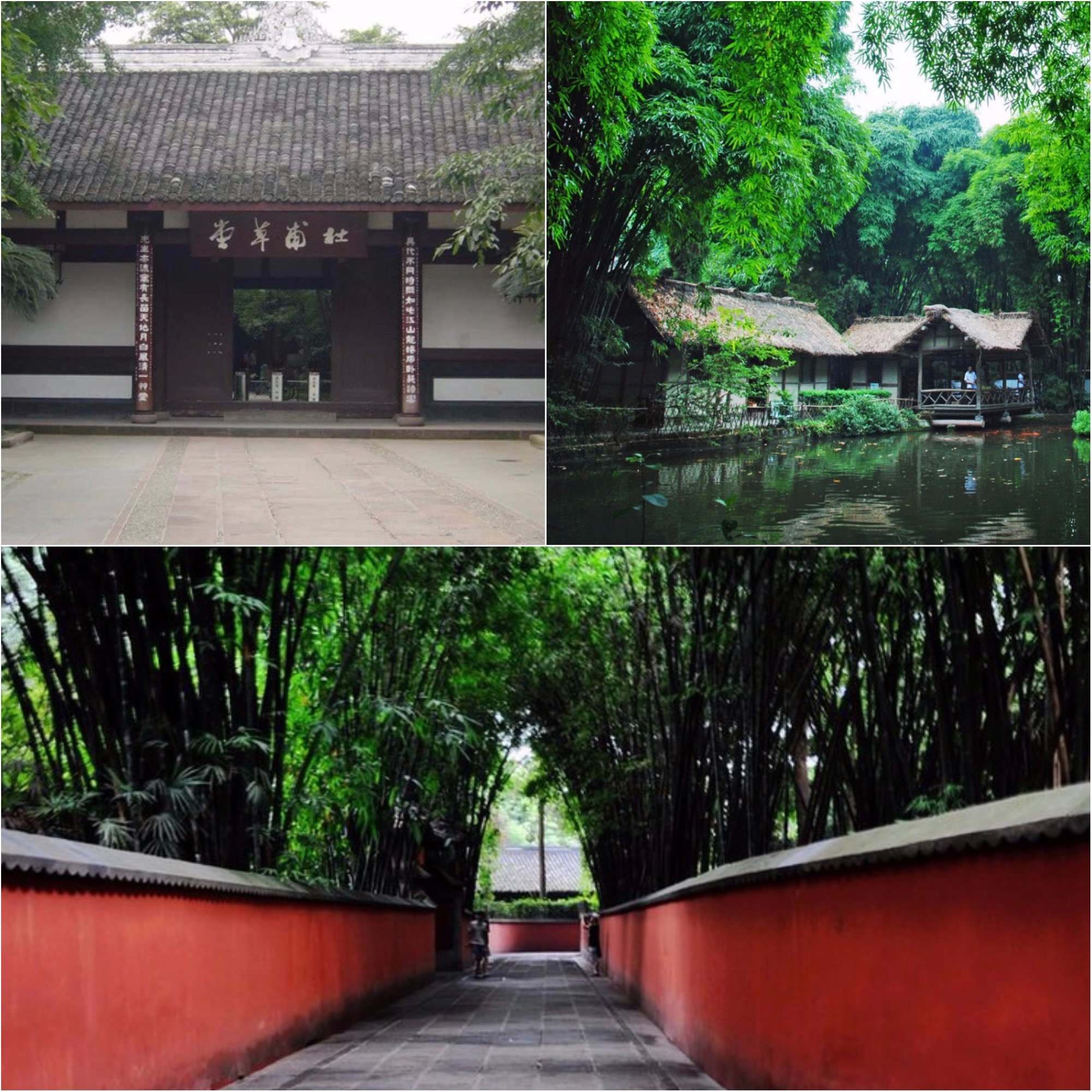 qingchengshan_top_attractions_in_chengdu.jpg