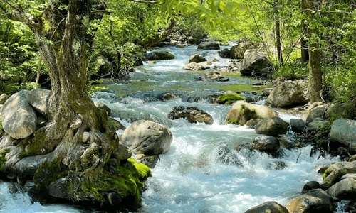 Xian-Qinling-Nature-Walk Xian-Qinling-Nature-Walk