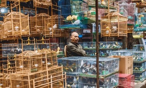 xian-tour-Flower-Bird-Market