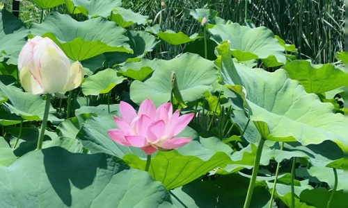 xiqinggong-park-xian