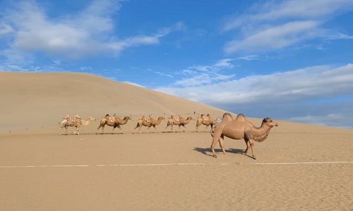 Camel-riding-at-Mingsha-Mountain