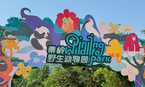 Qinling-Wild-Animal-Park-xian
