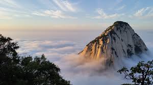 mt-hua