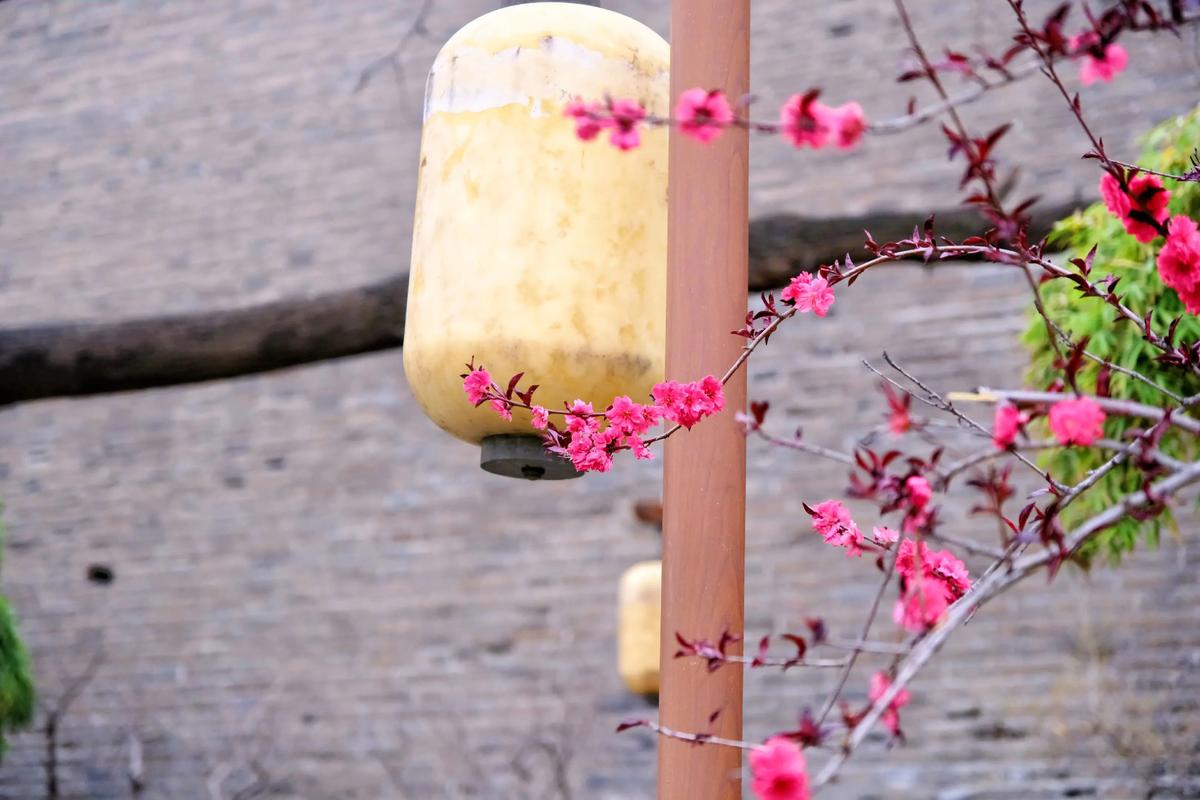 Ancient-City-Wall-02