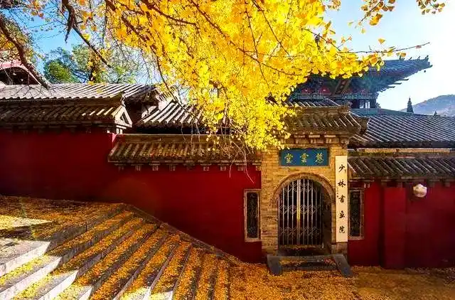 Xi'an-in-autumn-01