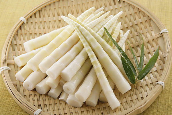 Spring-Bamboo-Shoots Spring-Bamboo-Shoots