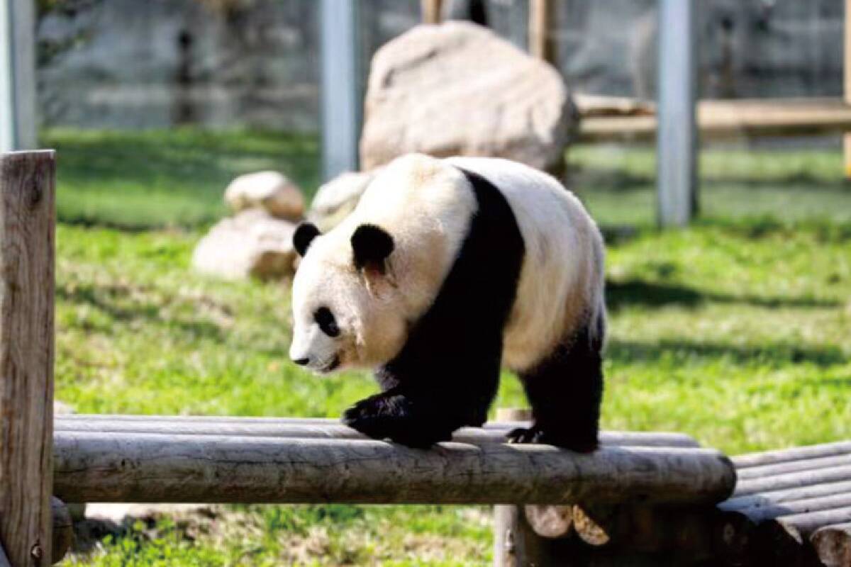 Qinling-Wildlife-Park