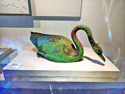 Bronze-Waterfowl