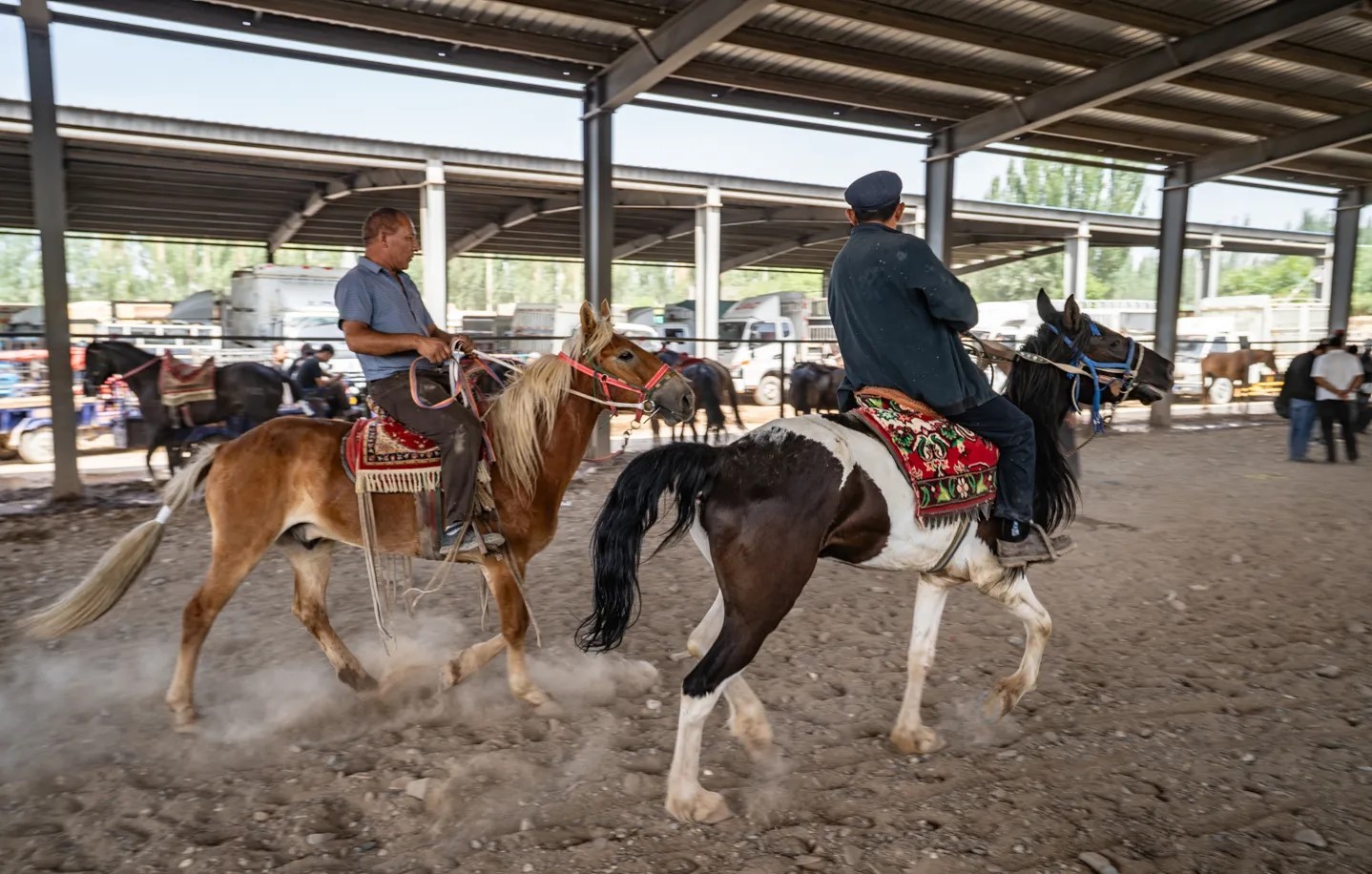 livestock-market