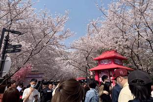 Qinglong-Temple-Cherry-Blossom-Festival