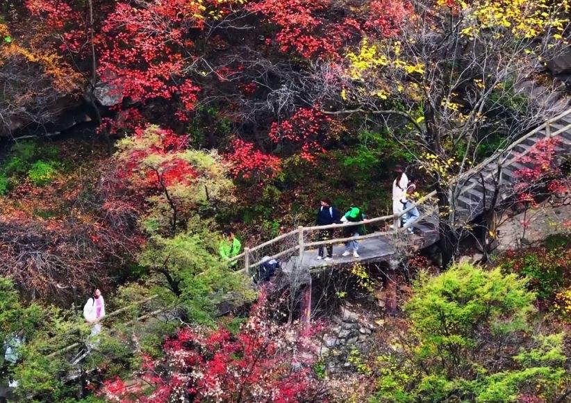 Qinling-National-Park-Red-Leaf-Festival