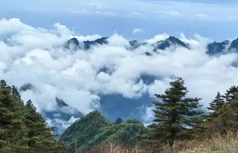 Taibai-Mountain-National-Forest-Park2
