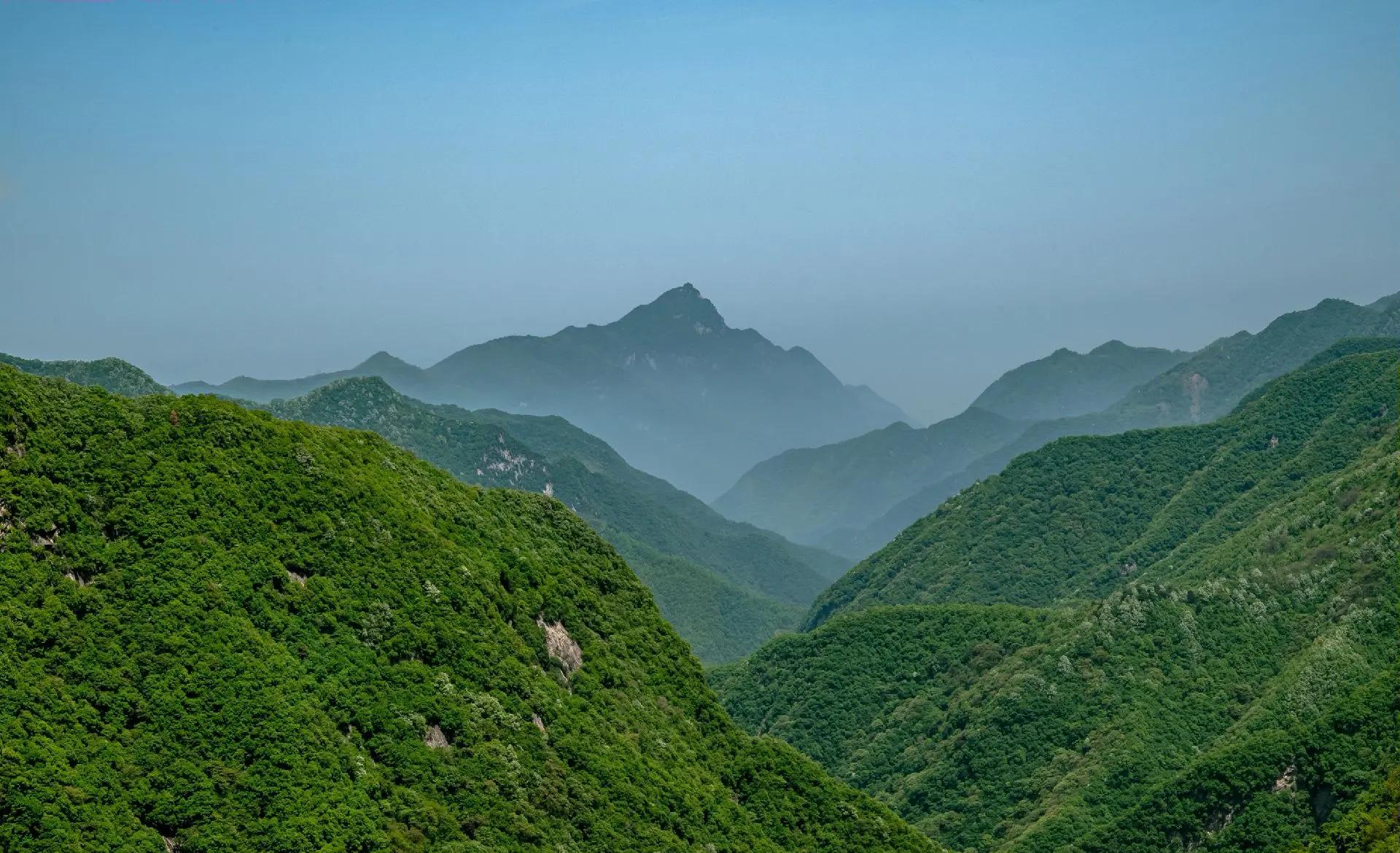 Taiping-National-Forest-Park2