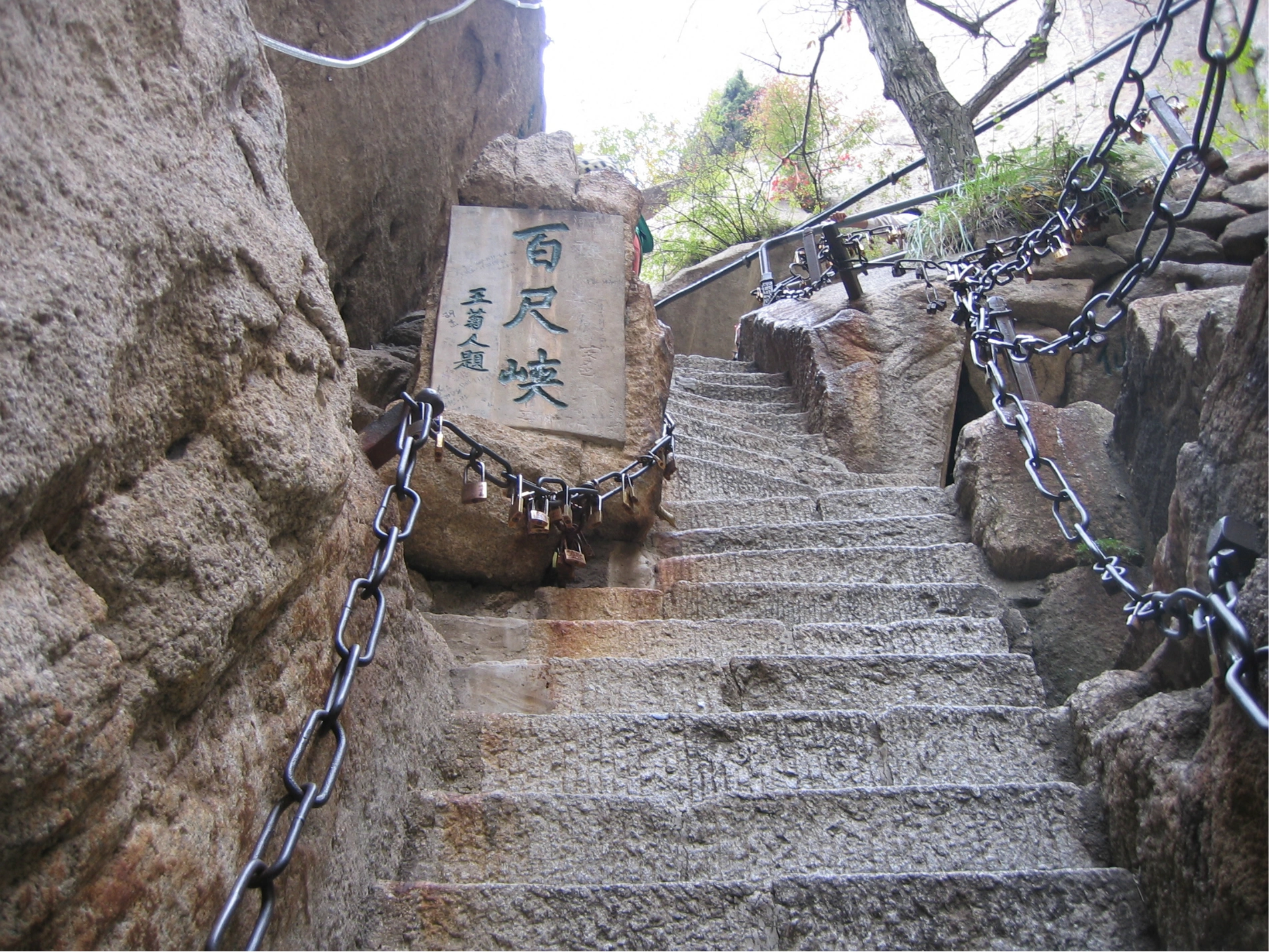 Baichi-Xia1