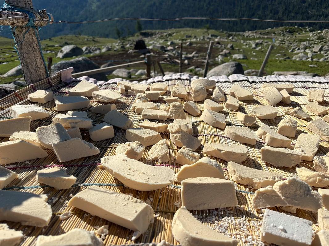 dairy-product-making