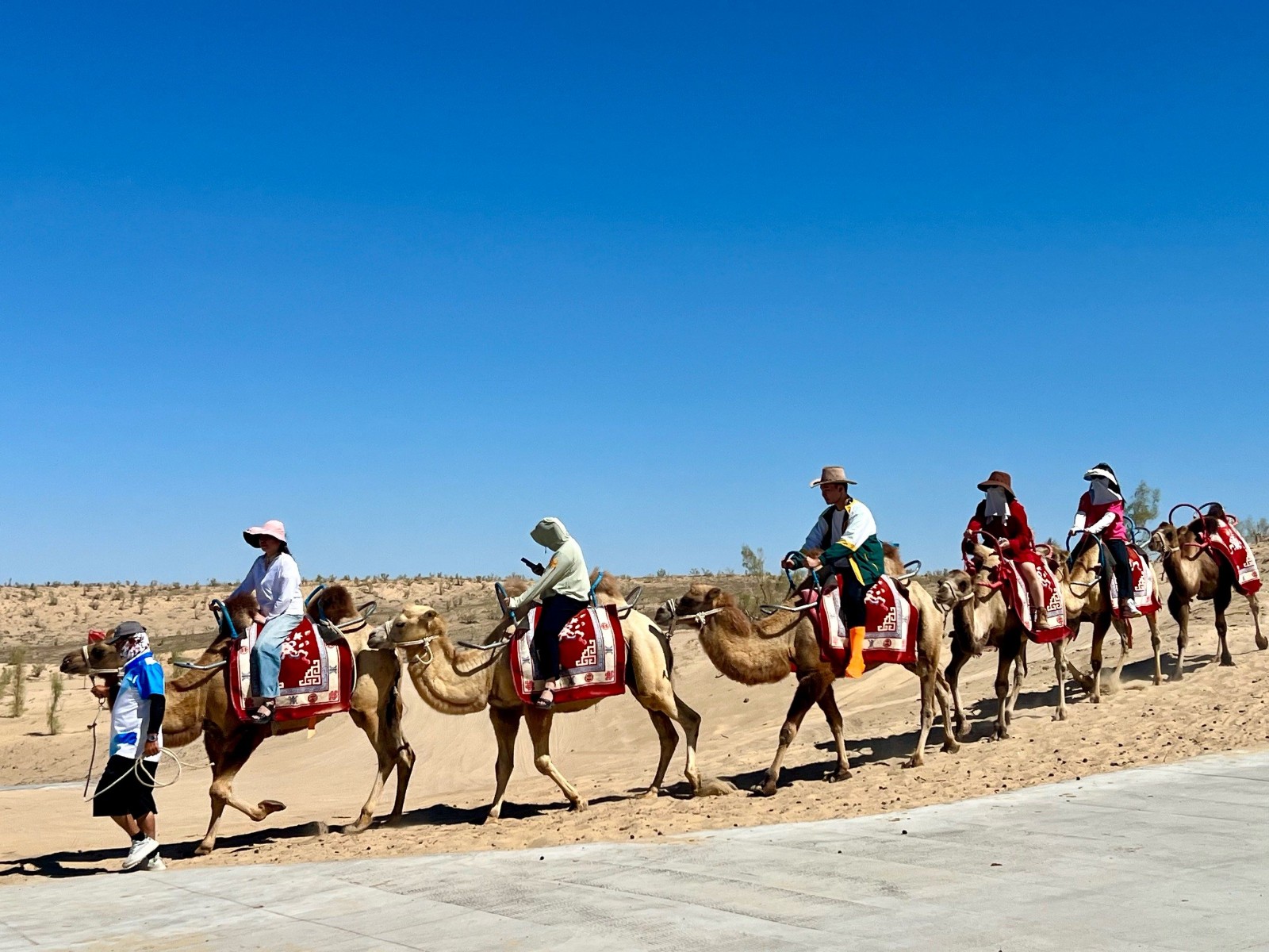 Camel-Riding Camel-Riding