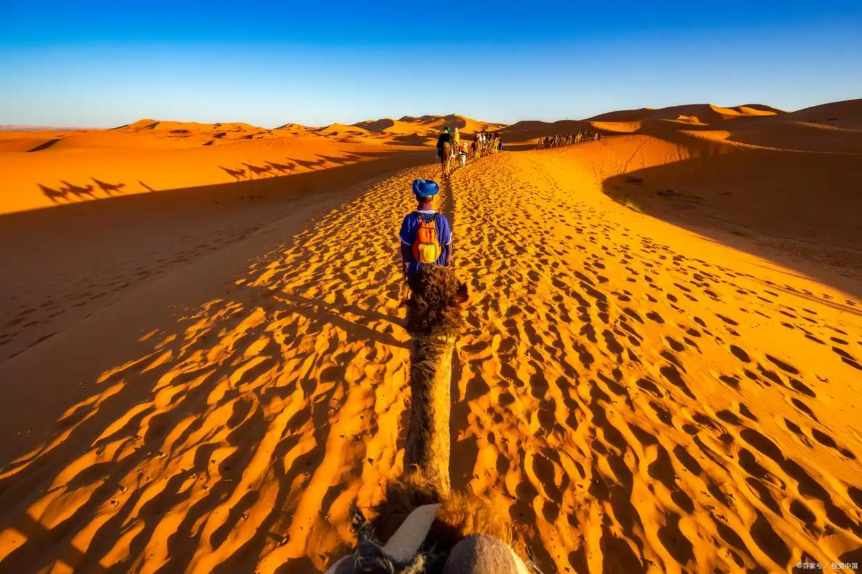 Desert-Adventure Desert-Adventure