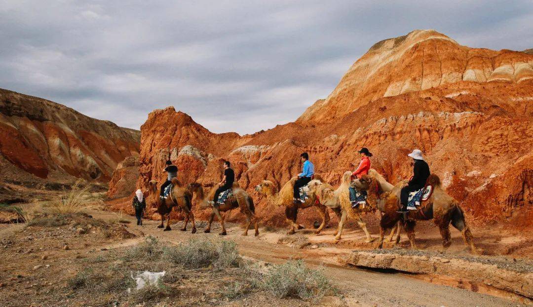 Camel-Ride