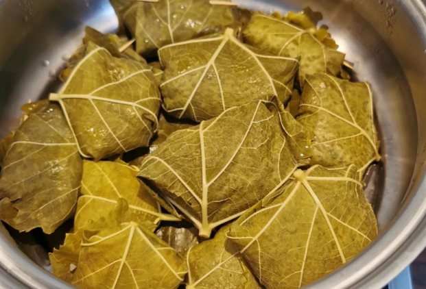 grape-leaf-wrapped-meat