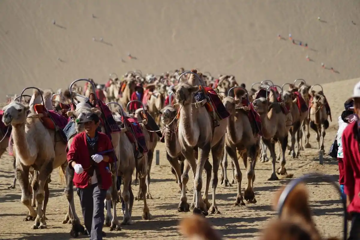 Camel-Caravan-Riding1 Camel-Caravan-Riding1