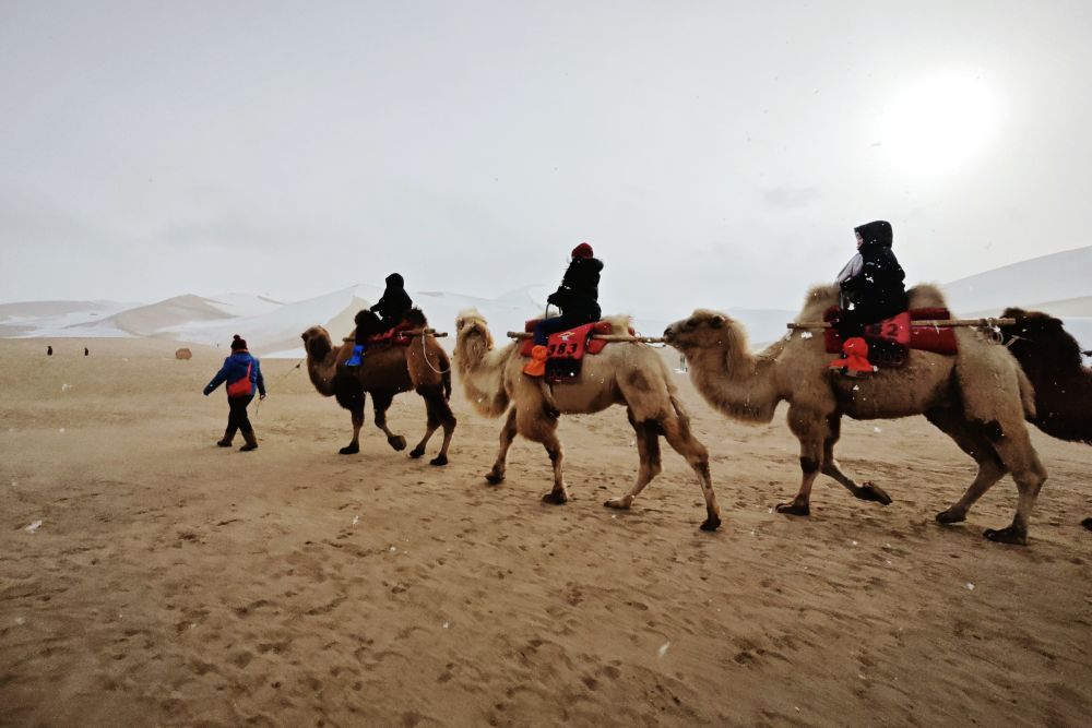 Camel-Caravan-Riding1