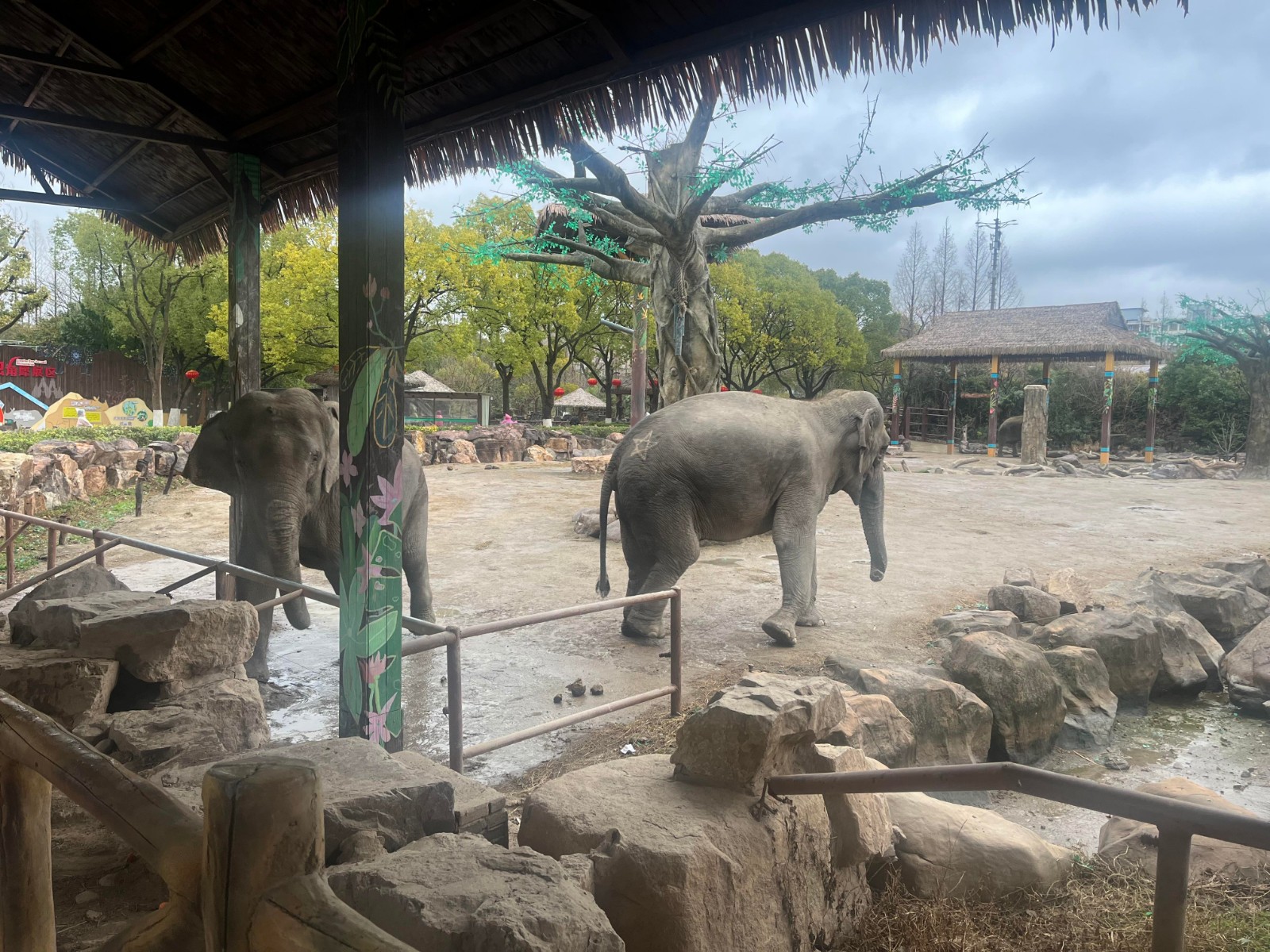 Elephant Elephant