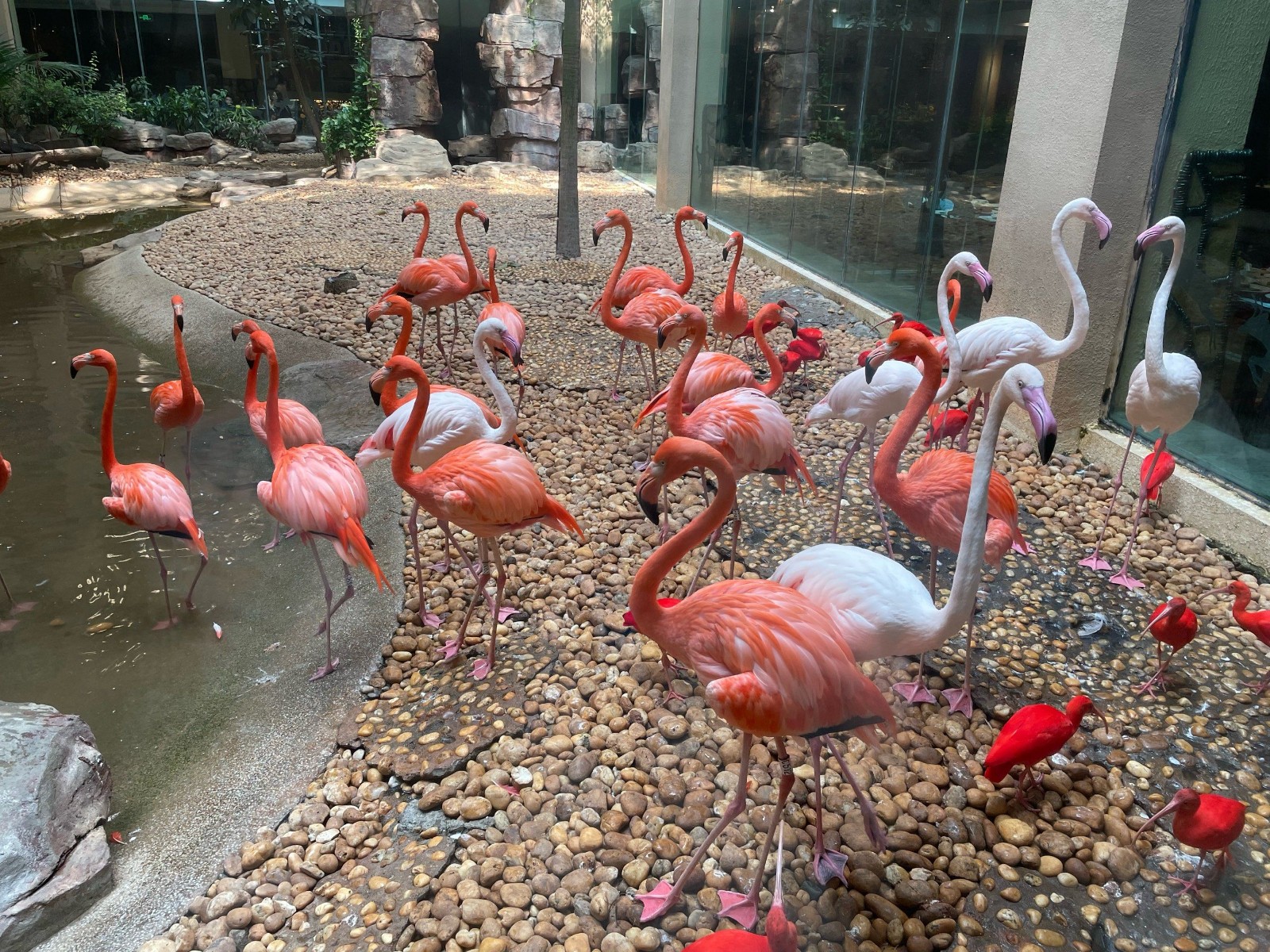 Flamingo-Pavilion1 Flamingo-Pavilion1