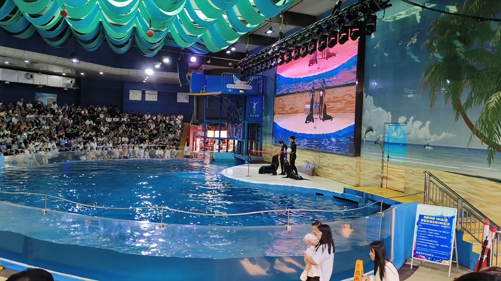 Marine-Animal-Show1 Marine-Animal-Show1